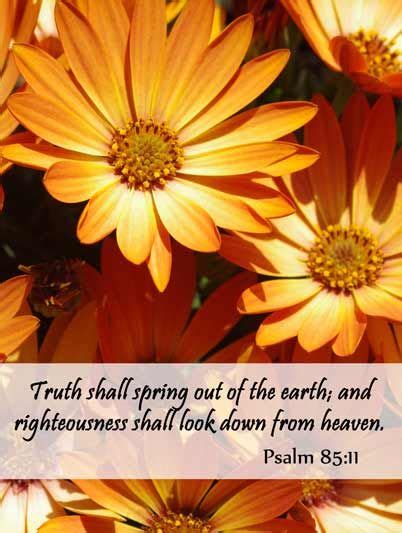 Popular bible verses about flower. Pin on Scriptures and Spiritual Messages Worth Rehearsing