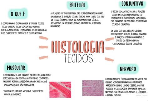 Mapa Mental Histologia Tecidos Histologia E Embriologia Oral