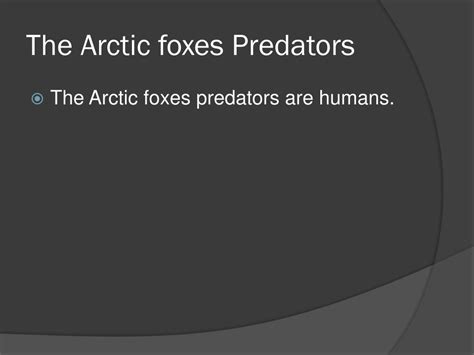 Ppt The Arctic Fox Powerpoint Presentation Free Download Id3596728