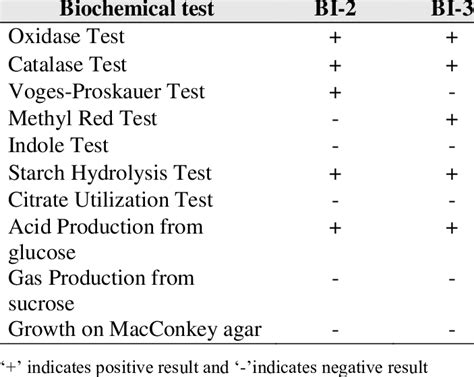 Biochemical Test Results For The Identification Of Bacterial Isolates