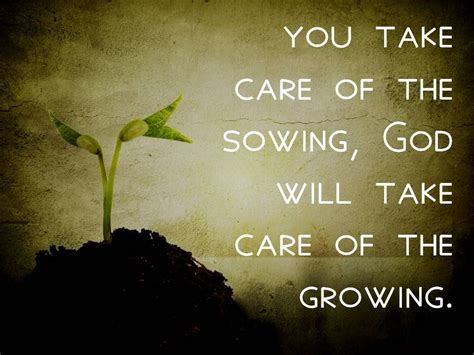 Sowing Seeds Seed Quotes Verse Quotes Bible Quotes Quotable Quotes Planting Seeds Quotes