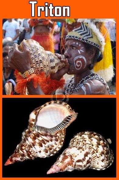 Tifa merupakan salah satu alat musik tradisional papua yang dimainkan dengan cara dipukul atau ditabuh. Alat Musik Tradisional Provinsi Papua Barat | Musik tradisional