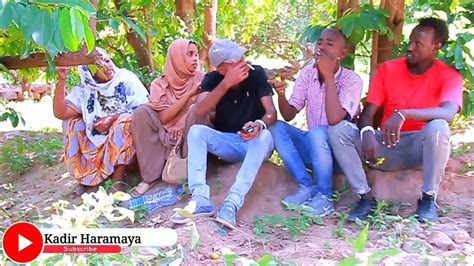 New Diraamaa Afaan Oromoo Comedy Ijaiba 2022 Youtube