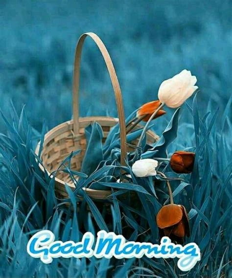 Morning Greetings Quotes Good Morning Messages Good Morning Wishes Good Morning Images Good