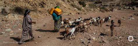 Donors Pledge Close To 14 Billion For Horn Of Africa Drought Response