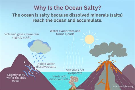Why Is The Ocean Salty But Lakes And Rivers Are Not