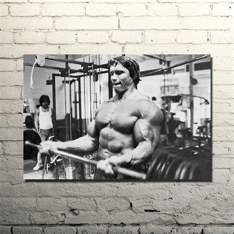 Arnold Schwarzenegger Bodybuilding Motivational Quote Silk Poster Print