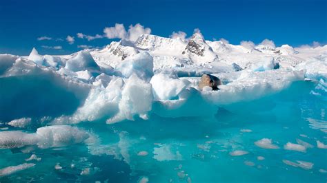 Antarctica Full Hd Wallpaper And Background Image 1920x1080 Id314459