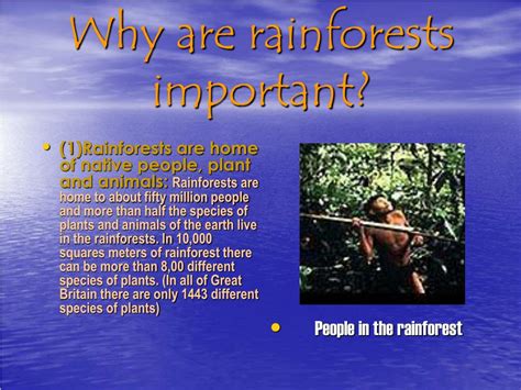 Ppt Rainforest Powerpoint Presentation Free Download Id4798675
