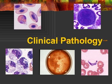 04 Clinical Pathology