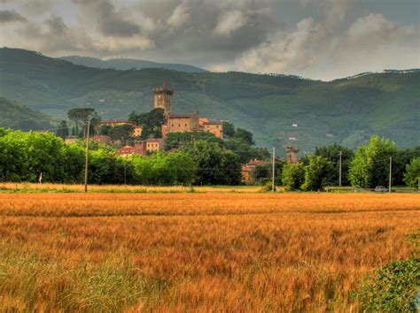 Guests benefit from free wifi and private parking available on site. Vicopisano » Gallery