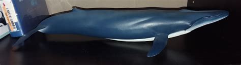 Papo 56037 Blue Whale Toy Animal Wiki