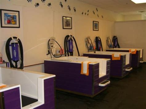 A Room Filled With Lots Of Purple And White Booths Covered In Gas Pump