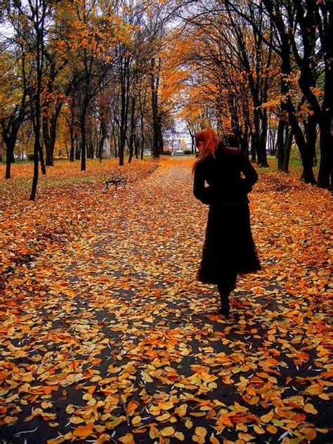 Walking In The Leaves Falling Leaves Pinterest