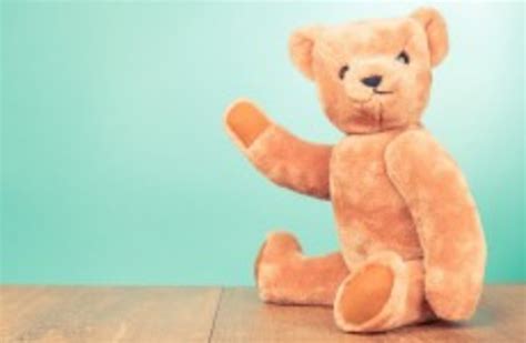 Burglar Busted After Having Sex With Teddy Bear And Leaving Dna Behind