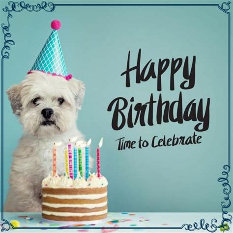 Happy Birthday Dog Cake Happy Birthday Dog Dog Birthday
