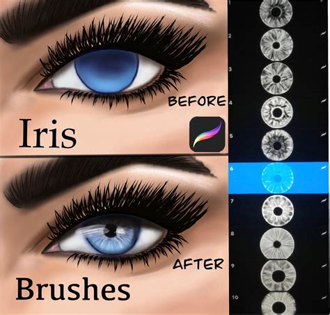 Procreate Iris Brushes, Procreate Iris Stamp, Procreate brushes, Eyes Brushes. in 2020 | Graphic ...