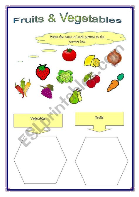 Fruits And Vegetables Classify Worksheet Fruits For K