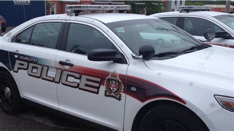 Man Found Passed Out In Guelph Business Following Break In Cbc News