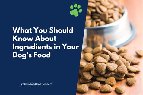 This information doesn't mean you can feed your dog any ol' low quality dog food full of rice hulls and corn gluten. What You Should Know About Ingredients in Your Dogs Food ...