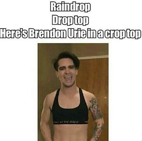 Pin By 🔅 🍯 On Music Brendon Urie Memes Emo Band Memes Band Memes