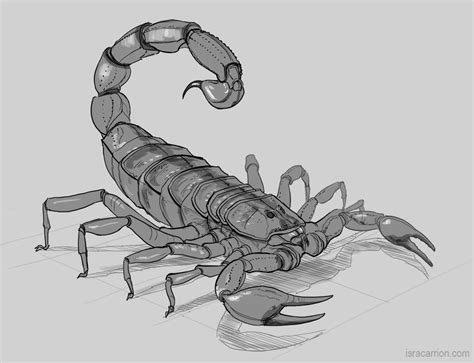Mahindra scorpio 2009 blueprint hum3d. Free Scorpion Drawing, Download Free Clip Art, Free Clip ...
