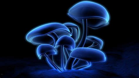 Magic Mushroom Wallpapers Top Free Magic Mushroom Backgrounds