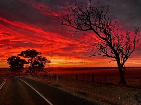 Red Sunset Road Trees Field Wallpapers Field Wallpaper Sunrise