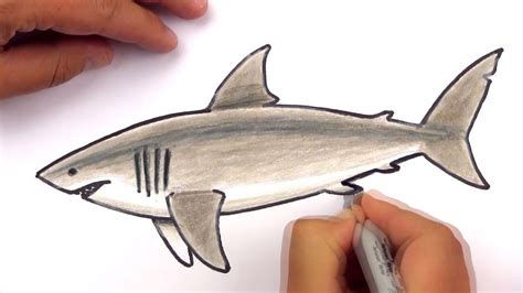 If you don't see a coloring page or category that you want, please take a moment to let us know what you are looking for. How To Draw A Realistic Great White Shark (Art Club Members) | Shark art, Shark drawing, Great ...