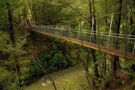 Suspension Bridge On The Old Ghost Road South Island New Zealand