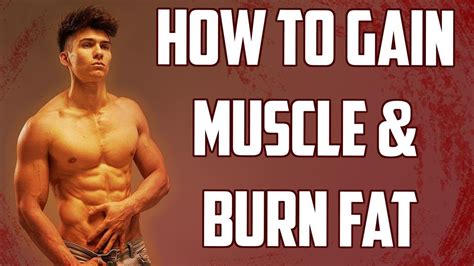 The Basics How To Gain Muscle And Lose Fat Youtube