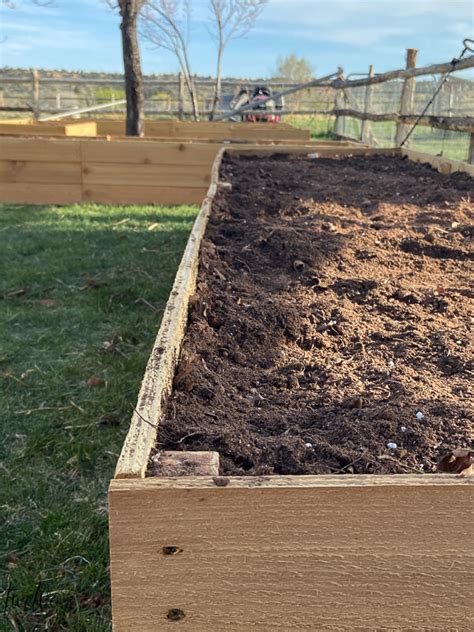 What To Fill In Raised Garden Bed Diy Raised Garden Bed And An Easy