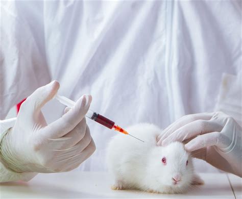 Associate Feature Phasing Out Animal Testing Would Benefit Scotland