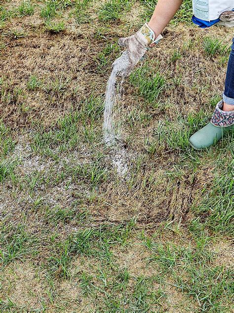 How you water the seeded area greatly determines how well the grass grows. How to Repair Those Bare, Patchy Spots in Your Lawn in ...