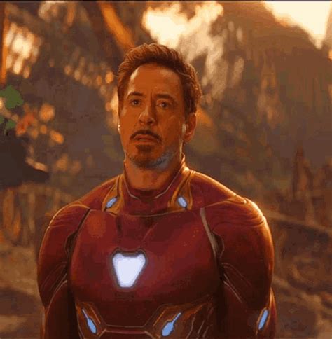 Tony Stark Meme 