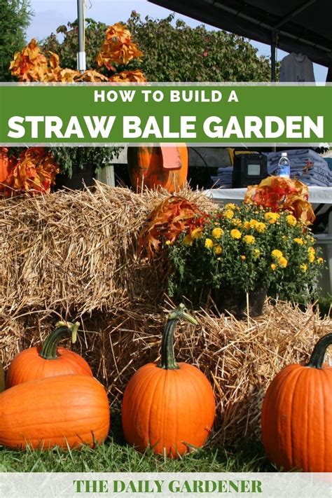 How To Build A Straw Bale Garden The Daily Gardener Straw Bale