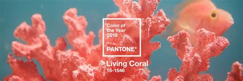 Pantone Announces Living Coral As 2019 Color Of The Year