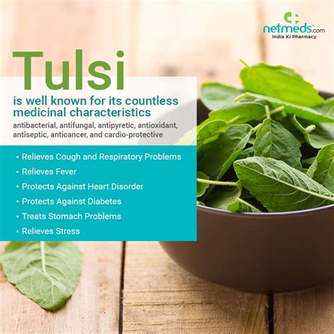 Queen Of Herbs Tulsi Health Tip