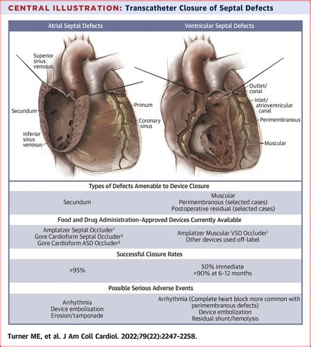 Transcatheter Closure Of Atrial And Ventricular Septal Defects Jacc