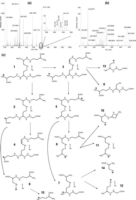 characterization of the selenocysteine containing metabolome in selenium rich yeast part 1