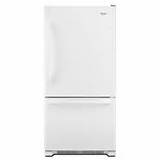 Single Door Bottom Freezer Refrigerator Reviews Pictures