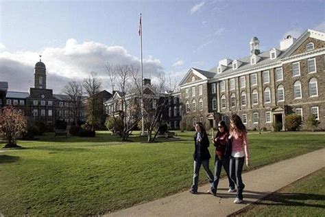 Why Students Should Learn English At Dalhousie University Workstudyvisa
