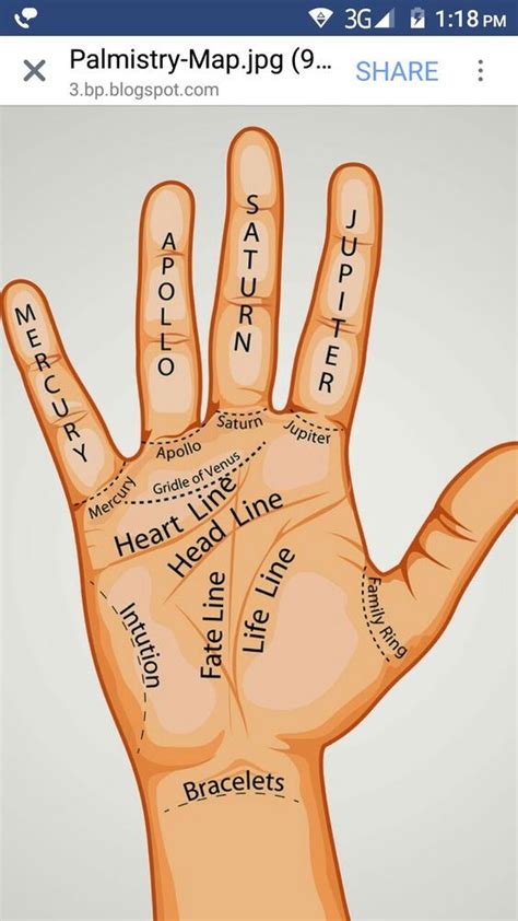 Indian Vedic Astrologer In Toronto Palmistry Learn Astrology Palm