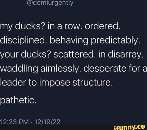 My Ducks In A Row Ordered Disciplined Behaving Predictably Your