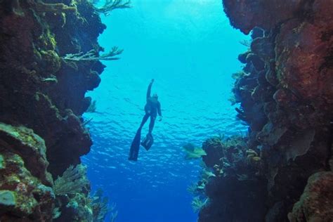 The Ultimate Breathtaking Dive Wsj