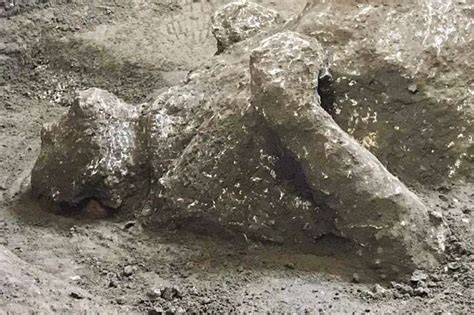 Rich Man Slave Bodies Unearthed From Ashes Pompeii Mount Vesuvius Italy