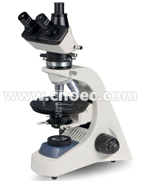What Is The Highest Magnification Of A Light Microscope
