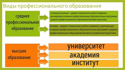 Профессиональное образование в РФ: структура, виды, уровни образования ...