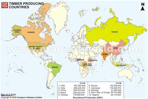 Top 10 Timber Producing Countries On World Map