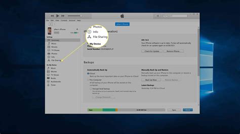 How To Access Iphone Files On Pc